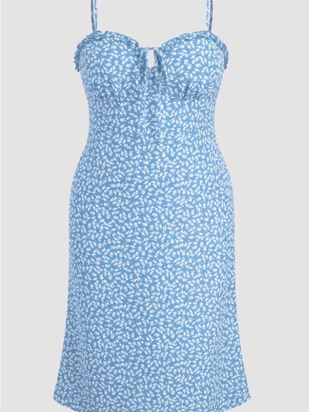 Cider Blue Floral Midi Dress NWT